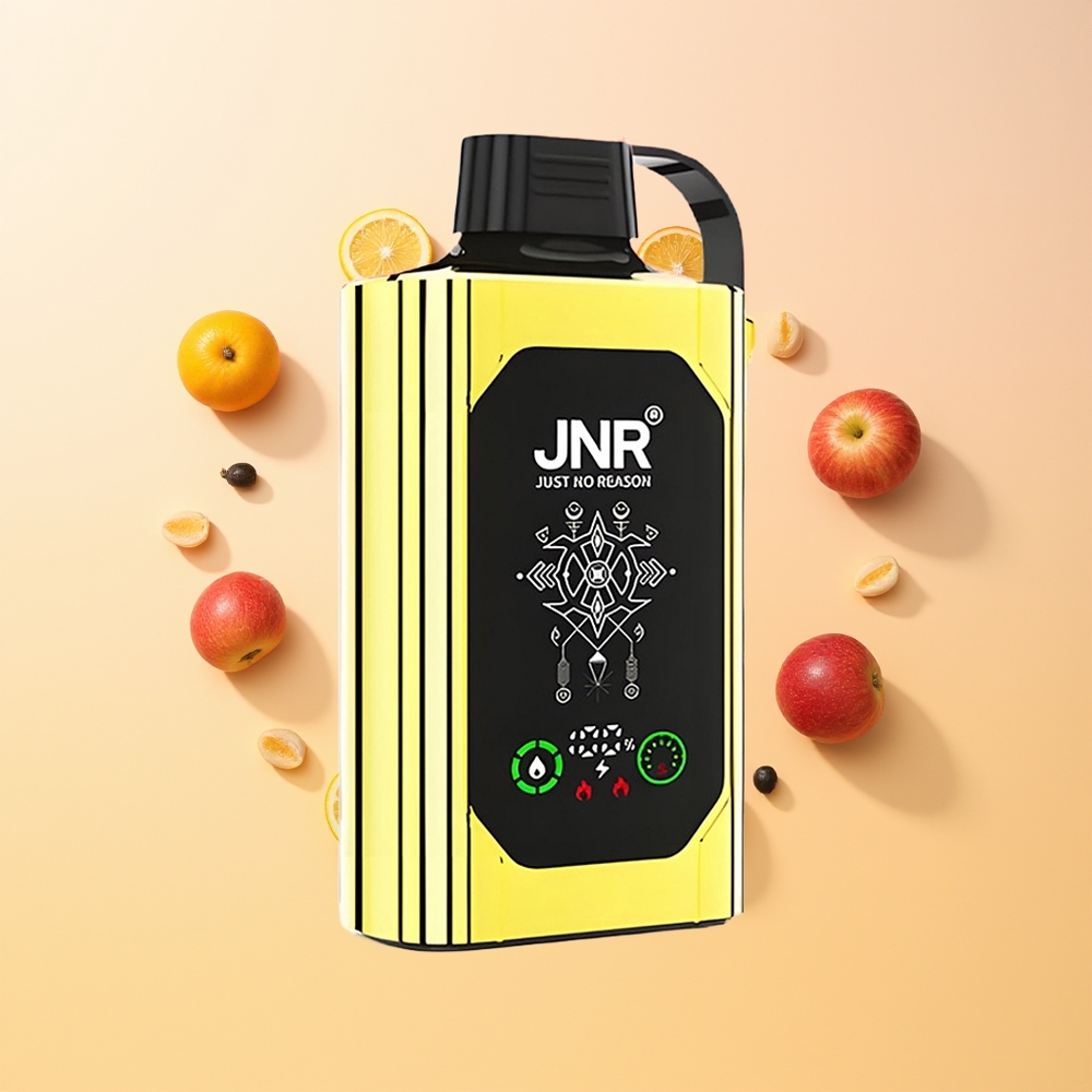 An&aacute;lisis exhaustivo de JNR Shisha Hookah Box 20500